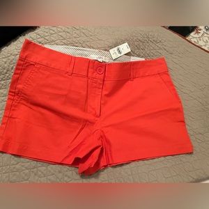 Loft chino shorts sz 12 Red New with Tags